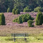 Theeshof Soltau