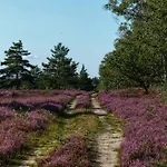 Theeshof Soltau