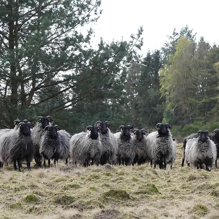 בית חווה Theeshof *