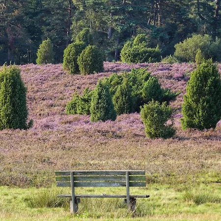 Theeshof Soltau