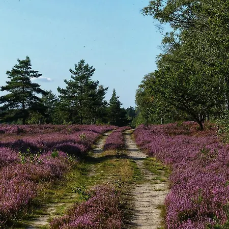 Theeshof סולטאו