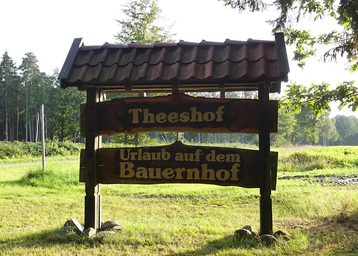 Theeshof Gospodarstwo agroturystyczne *